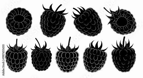Black Silhouette Raspberry and Blackberry Vector Icons Set