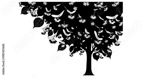 Black and White Vector Illustration of a Linden Tree in Bloom
