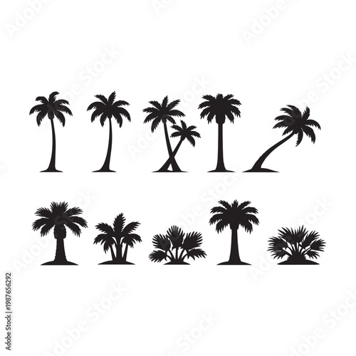 Palm Tree Black Silhouette Set — Tropical Coconut Palm Collection with Various Styles and Shapes, Exotic Summer Beach Trees Vector Illustrations Isolated on White Background