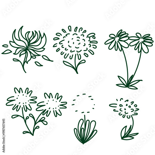 Hand drawn abstract floral line art set. Collection of minimalist green botanical doodles