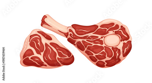 Raw Lamb Leg and Meat Steak Vector Illustration