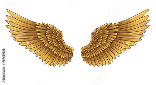 Detailed Golden Wings Vector Illustration Isolated on White