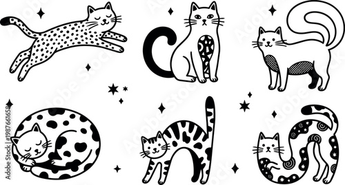 Black and white spotted cats in various poses with stars vector art