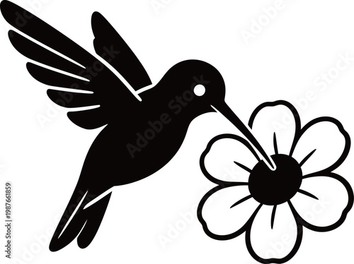 Silhouette of a hummingbird feeding from a flower
