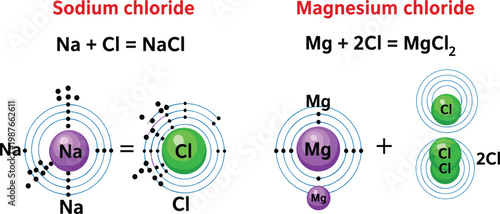 Ionic bonding diagram for Sodium chloride and Magnesium chloride featuring atomic Bohr models and balanced chemical equations in a flat vector style