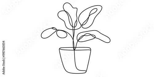 Minimalist continuous single line drawing of a potted houseplant with organic leafy foliage
