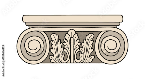 Classical Ionic Column Capital Illustration with Acanthus Leaves