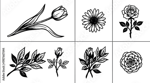 Black and white botanical floral flower vector art set with rose tulip and leaves