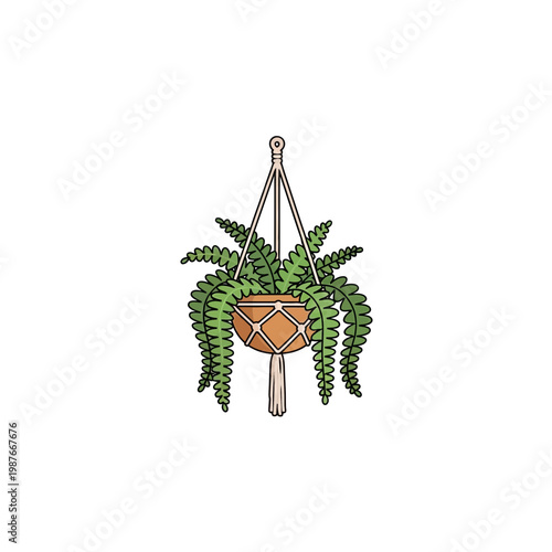 Fern Hanging in Macrame Plant Hanger Vector Illustration