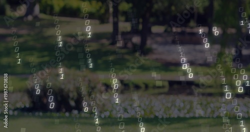 Falling translucent binary digit streams overlaying grassy public park scene, with white flowers