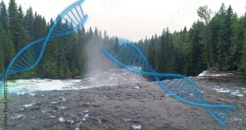 Rushing river and low waterfall forming rising mist near evergreen gorge, with glowing DNA overlays