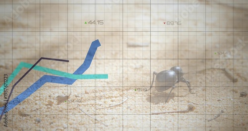 Crawling beetle moving on sand, showing grid and teal blue charts and beetle shadow, copy space