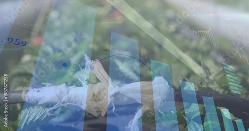Displaying frayed white cloth wrapped around dark rod in garden, overlaying blue bar charts