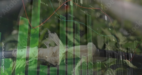 Displaying wrapped plant stem showing frayed tape in garden close-up, with market charts overlay