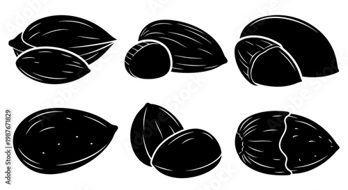 Black Silhouette Nut Icons Set Vector Illustration