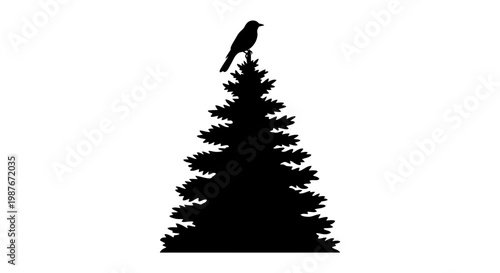 Bird silhouette perched on top of an evergreen pine tree vector