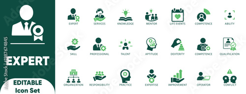 Expert icon set. advice, adviser, cognition, competence, conclusion, expertise, mentor, qualification, research, and solid icons.