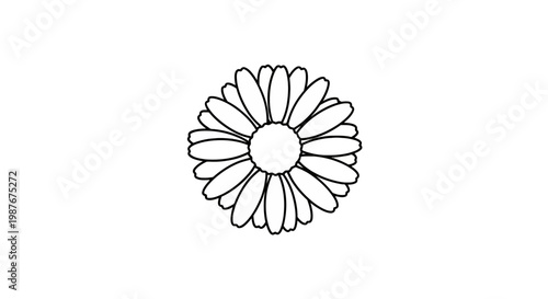 Minimalist Daisy Flower Head Vector Line Art Outline Illustration