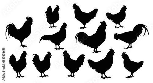 Poultry Farm Rooster and Chicken Silhouette Collection