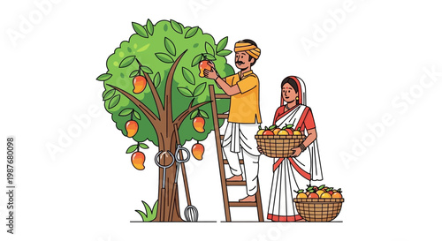 Illustration of an Indian farmer on a ladder harvesting ripe Alphonso mangoes from a lush mango tree during the tropical summer season, while his wife holds baskets full of freshly picked