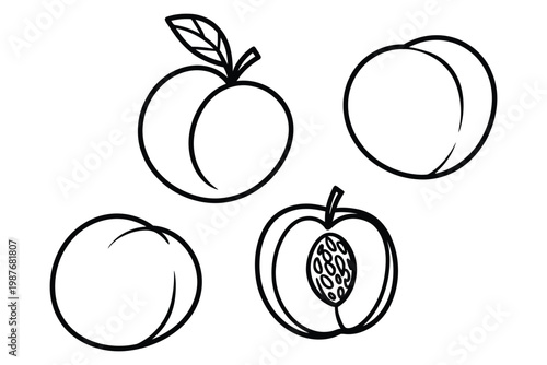 Hand drawn peach vector illustration set, sketch style fruit doodles including whole peach, sliced peach, and leaf elements for organic food design, summer themes, packaging, and natural product brand