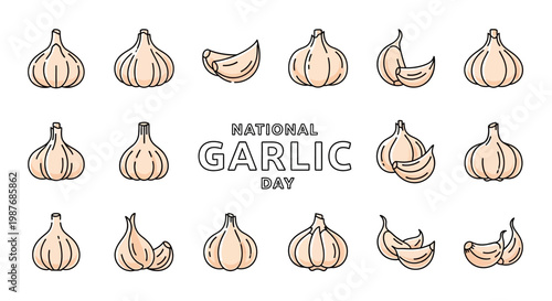 Overhead vector illustration celebrating National Garlic Day with multiple garlic bulbs and cloves arranged against a bright white background, showcasing fresh and organic culinary herb