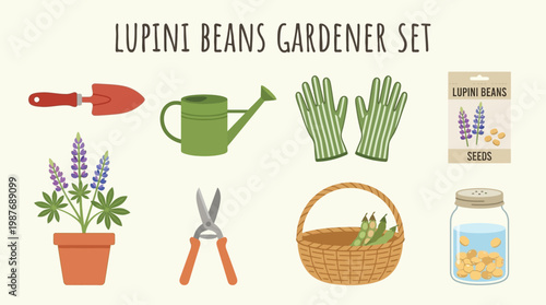Lupini beans gardening set with tools and accessories for planting flowers and harvesting