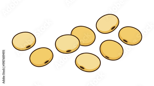 Soybeans scattered on a white background