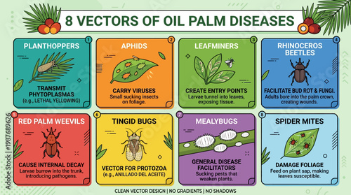 Eight vectors of oil palm diseases infographic with plant pests