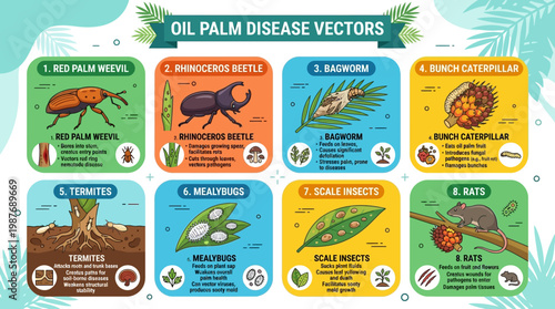 Oil palm disease vectors infographic showing red palm weevil, rhinoceros beetle, bagworm, bunch caterpillar, termites, mealybugs, scale insects, rats