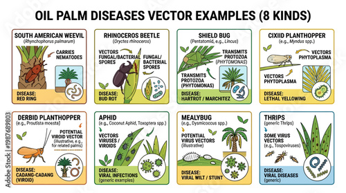 Oil palm diseases vector examples infographic showing eight kinds of insects and their effects