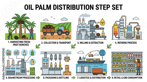 Oil palm distribution process steps from harvesting to retail, showcasing the journey of palm oil production and supply chain
