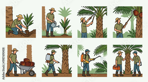 Palm tree plantation workers performing various tasks with tools and equipment