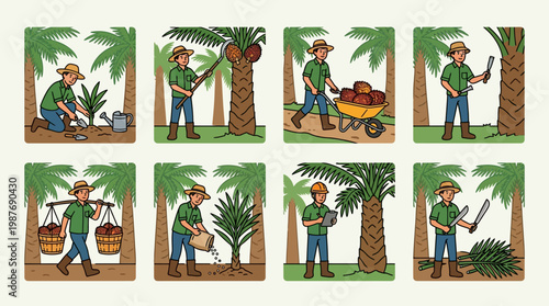 Farmer cultivating palm trees plantation with various tasks