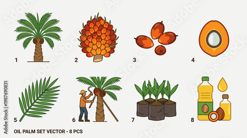 Oil palm tree and products vector set with palm tree, fruits, leaf, worker harvesting, seedlings and palm oil bottles for agriculture and industry use.