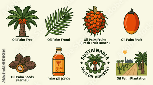 Palm oil industry infographic with tree, frond, fruits, and products