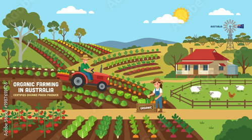 A happy farmer drives a red tractor while a woman harvests fresh organic vegetables in a busy rural Australian field