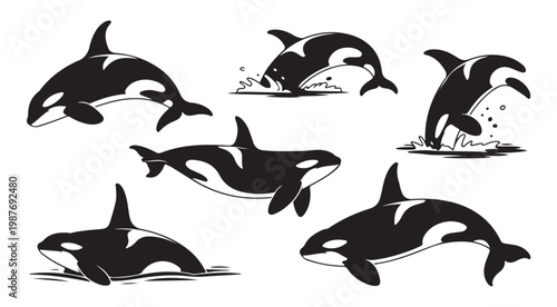 Orca killer whale silhouettes displaying various jumping and swimming actions in ocean water.