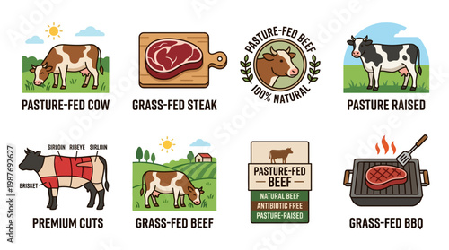 Pasture fed beef and grass fed steak cuts illustration set