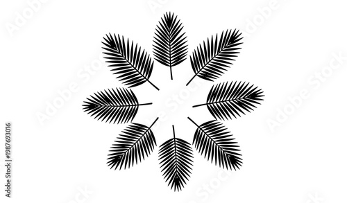 Tropical palm leaf silhouette icons circular arrangement black botanical branch set for nature design