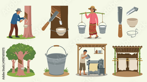 Traditional sap collection and processing with tree tapping and boiling