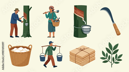 People collecting natural rubber from trees for paper production process