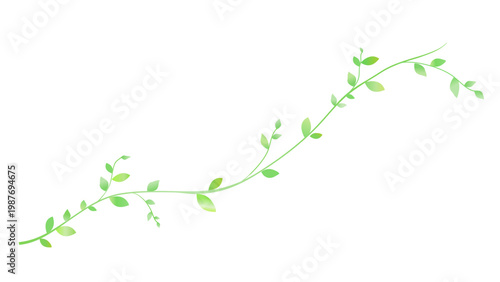 Illustration of flowing leaf decorative borders