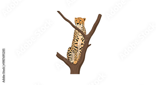 Cheetah Sitting on a Tree Branch Vector Illustration