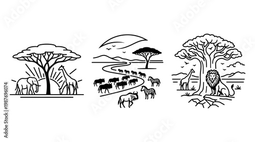 Safari Animals and Landscape Line Art Set