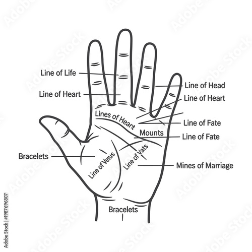 Palmistry hand with labeled lines and mounts