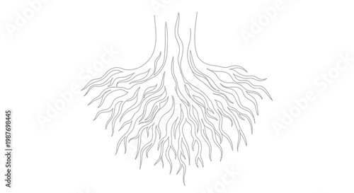 Detailed Tree Root System Illustration, Organic Growth, Natural Structure, White Background
