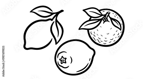 Black and White Citrus Fruits