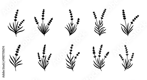 Lavender icon set – vector silhouettes isolated on a transparent background