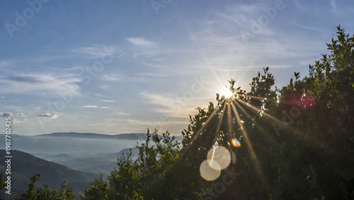 Golden Sunrise Over Misty Mountain Peaks: Lush Green Foliage and Sky Views